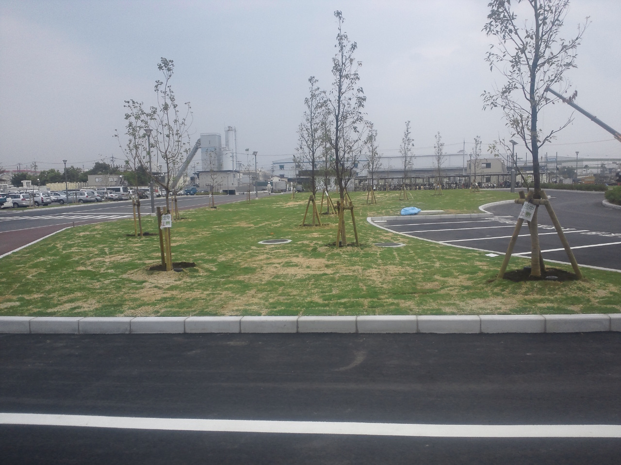 某工場植栽