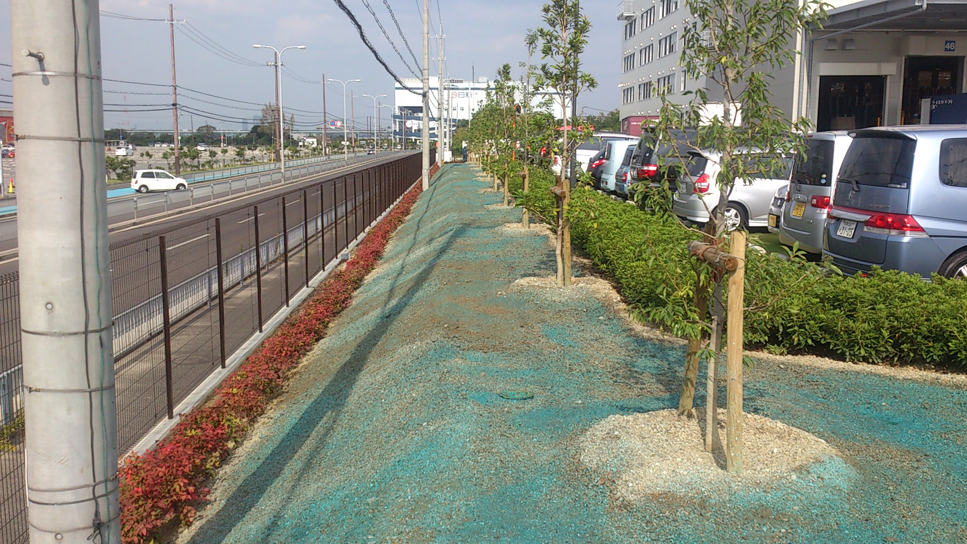 某倉庫植栽